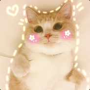 花少北的小可爱