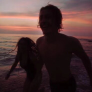 孤狼B组西伯利亚狼