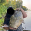 catfish hunter