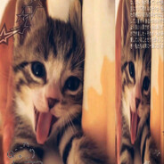 Avatar snapshot