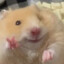 HAMSTER