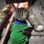 FAKIR KEDİ