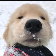 来瓶冰红茶一代