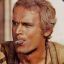 Terence Hill