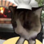 ChefCat