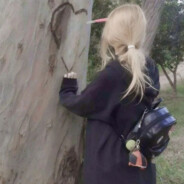 等不到暖春之时