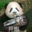 思茶zizhan