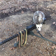 Slavík - steam id 76561199141823366