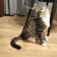 落花有意大狙无情