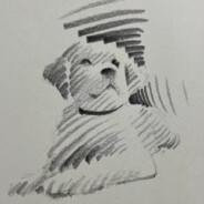 爱吃橙子的可乐