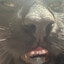 {name}'s avatar
