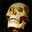 SkeletonMD