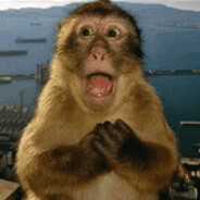 monke.mp3
