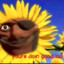 the sunflower man