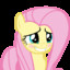 Fluttershy S2