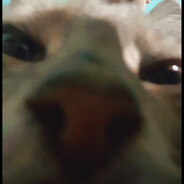 valenn.'s avatar