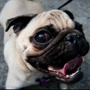 ☢МнЕ п..уй Я МопС