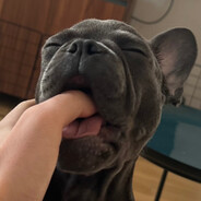 ветерок - steam id 76561198183989146