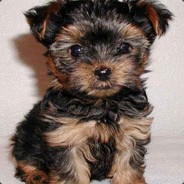 black_knigh - steam id 76561197961353785