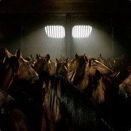 xshelle - steam id 76561197961349332