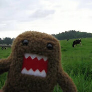 眼罩怎么又不见啦