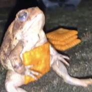 slug
