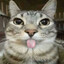 Мистер_Пенис48
