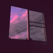 趴在窗前超市里