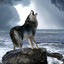 sea_wolf