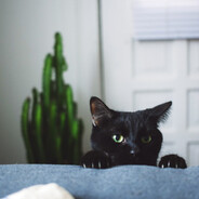 Azazel'