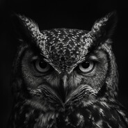 owlZ - steam id 76561199282436070