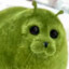 Lil Dill
