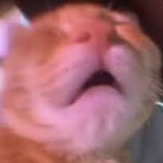 CLAWZ