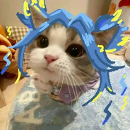 风雪带不走我的心