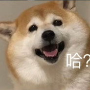 月亮与她皆失落