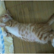 3年无冠，RD再见