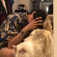 遗落银河的纸鹤