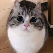 Esperc's avatar