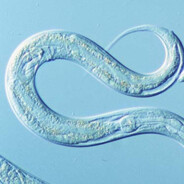 ♕𝖃𝓐𝓪𝓣𝓯𝔂𝕮♕