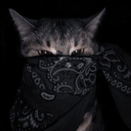 Sanity's avatar