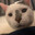Miaow