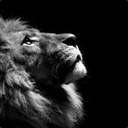 SD - steam id 76561198165212348