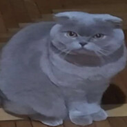 WakoTF2's avatar
