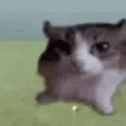 flaK's avatar