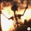 yøshicryer
