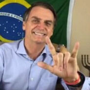 Vitao1533