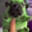 Pug Shaker