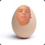 Egg