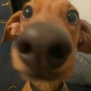 神区化龙一念间