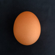 Egg